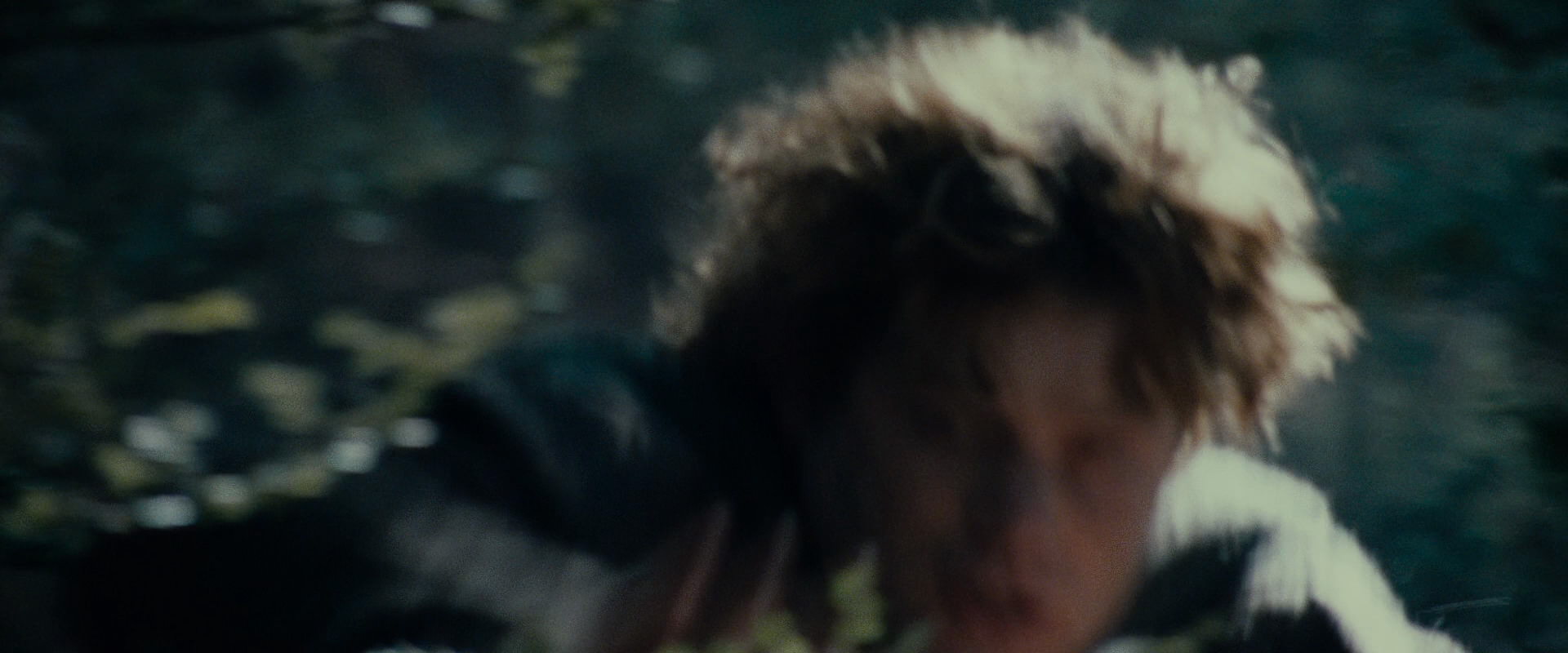 The Lord of the Rings: The Fellowship of the Ring (2001) movie still 23104
