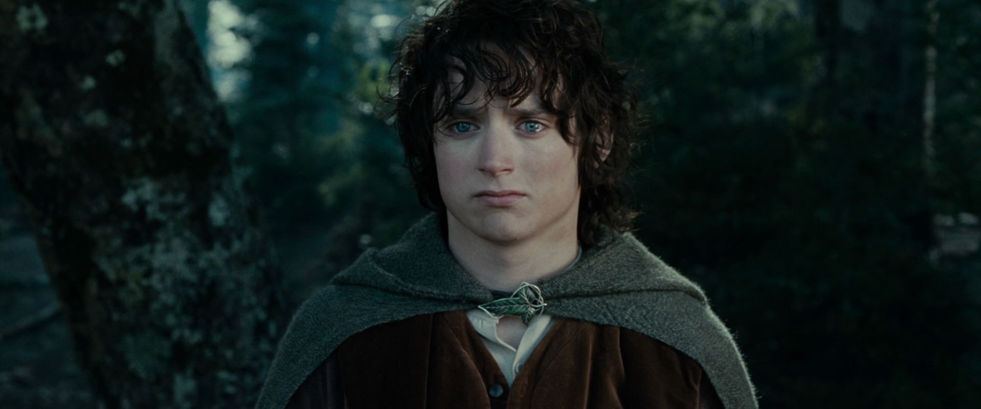 The Lord of the Rings: The Fellowship of the Ring (2001) screencap 23106