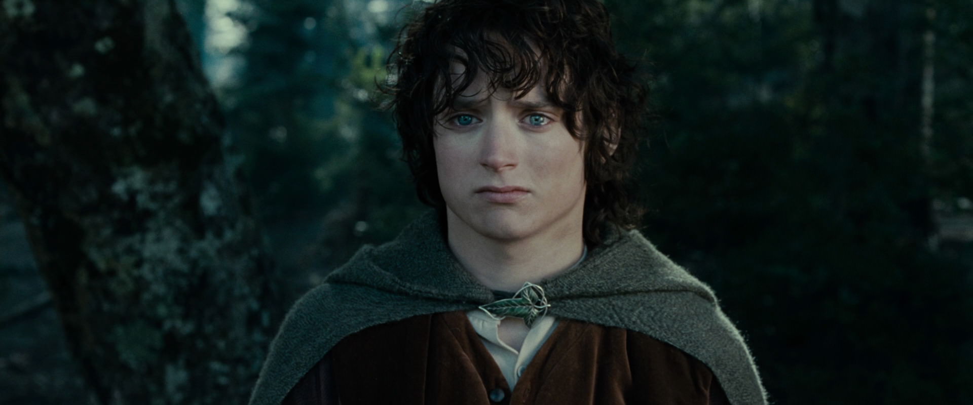 The Lord of the Rings: The Fellowship of the Ring (2001) HD screenshot 23108