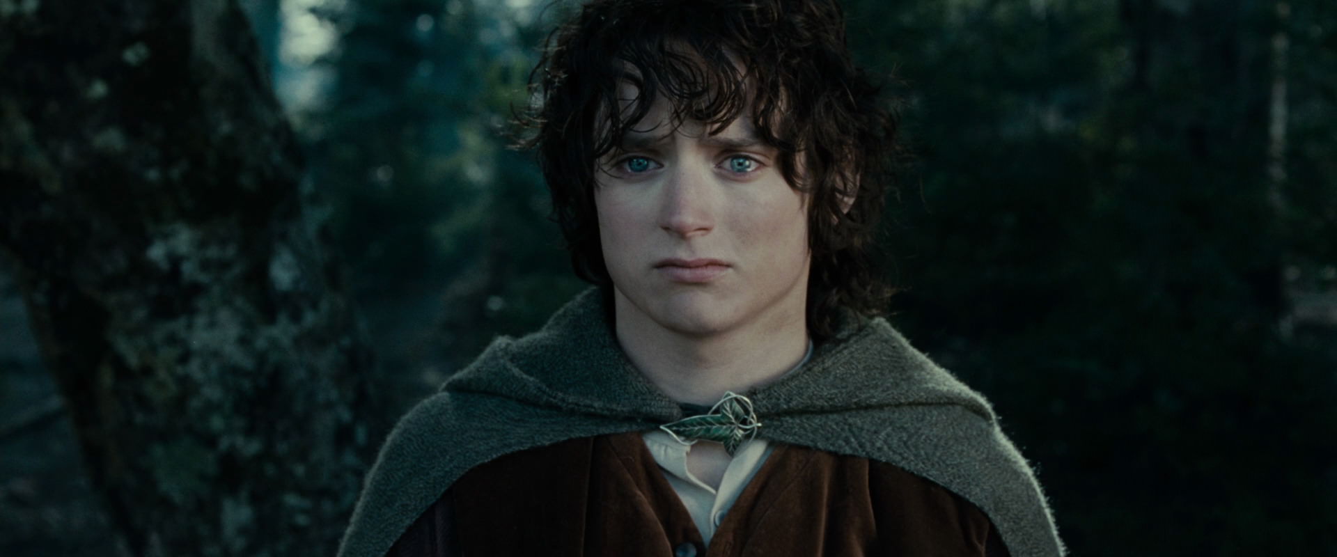 The Lord of the Rings: The Fellowship of the Ring (2001) screencap 23109