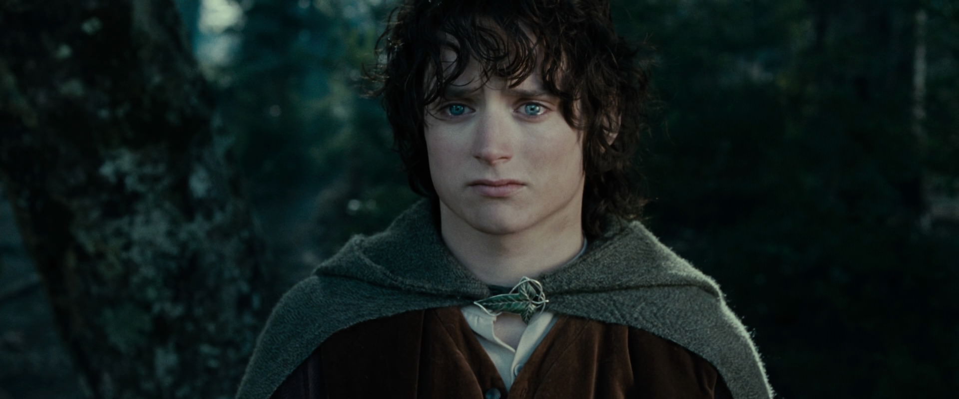 The Lord of the Rings: The Fellowship of the Ring (2001) movie still 23110