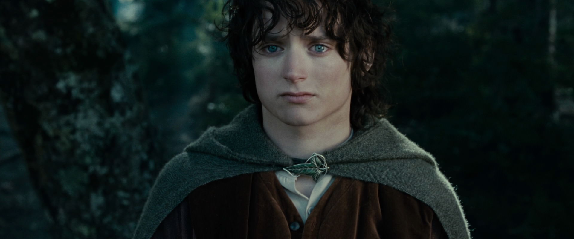 The Lord of the Rings: The Fellowship of the Ring (2001) HD screenshot 23111