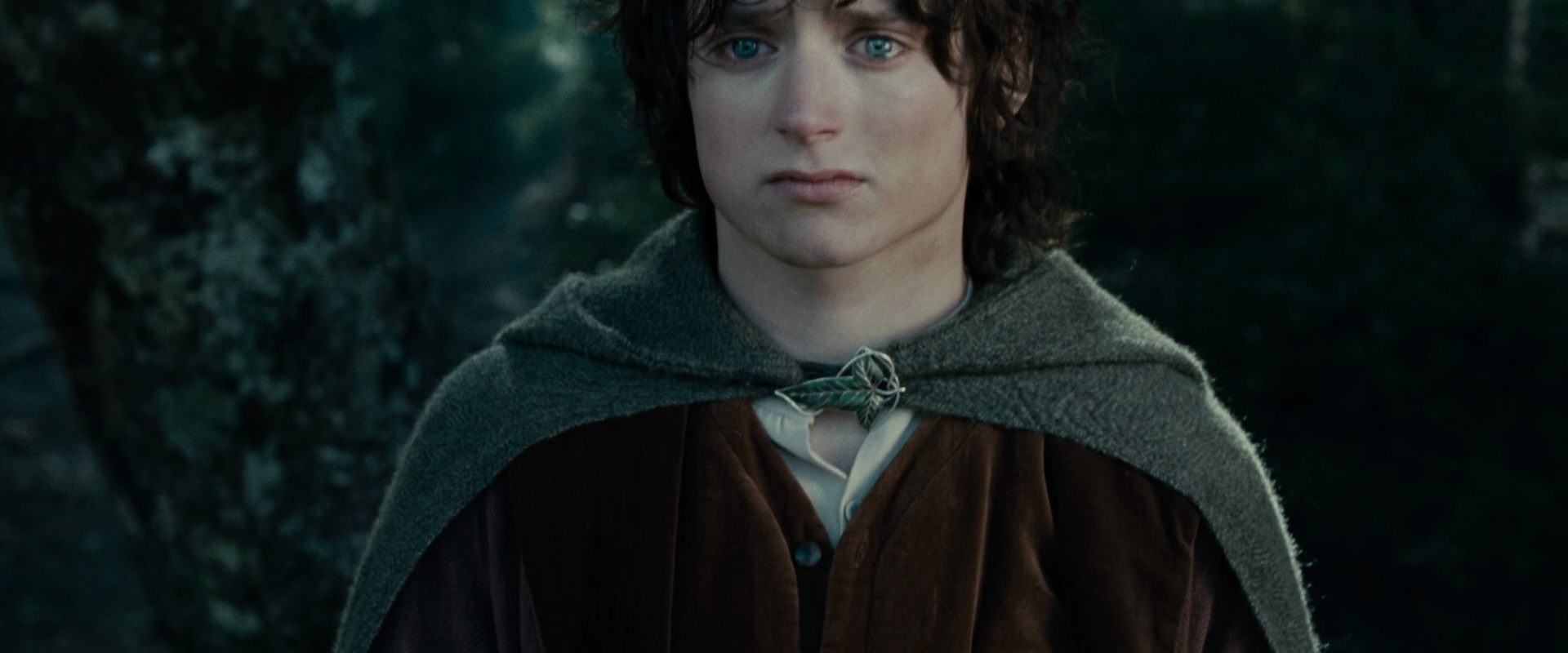 The Lord of the Rings: The Fellowship of the Ring (2001) screencap 23112
