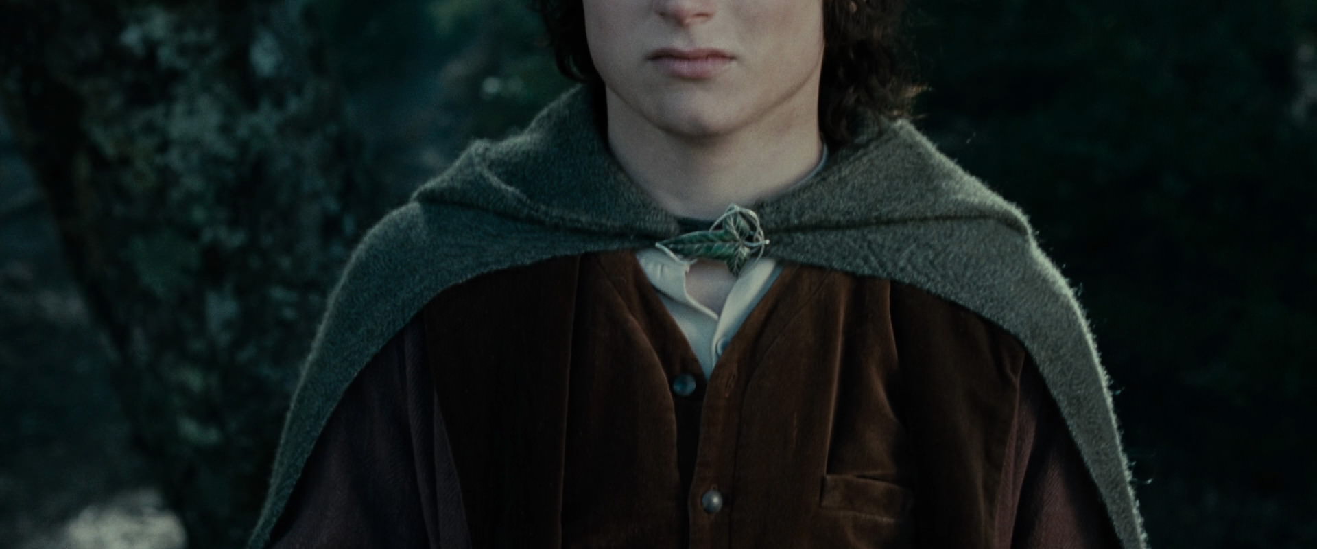 The Lord of the Rings: The Fellowship of the Ring (2001) movie still 23113