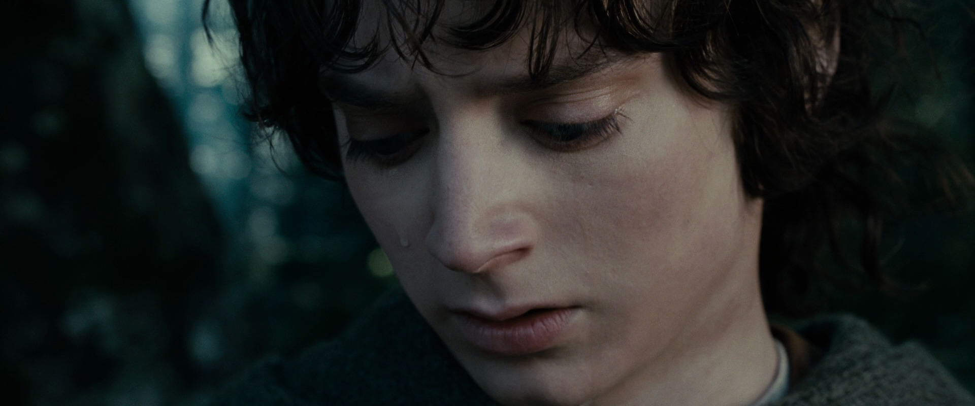 The Lord of the Rings: The Fellowship of the Ring (2001) HD screenshot 23138