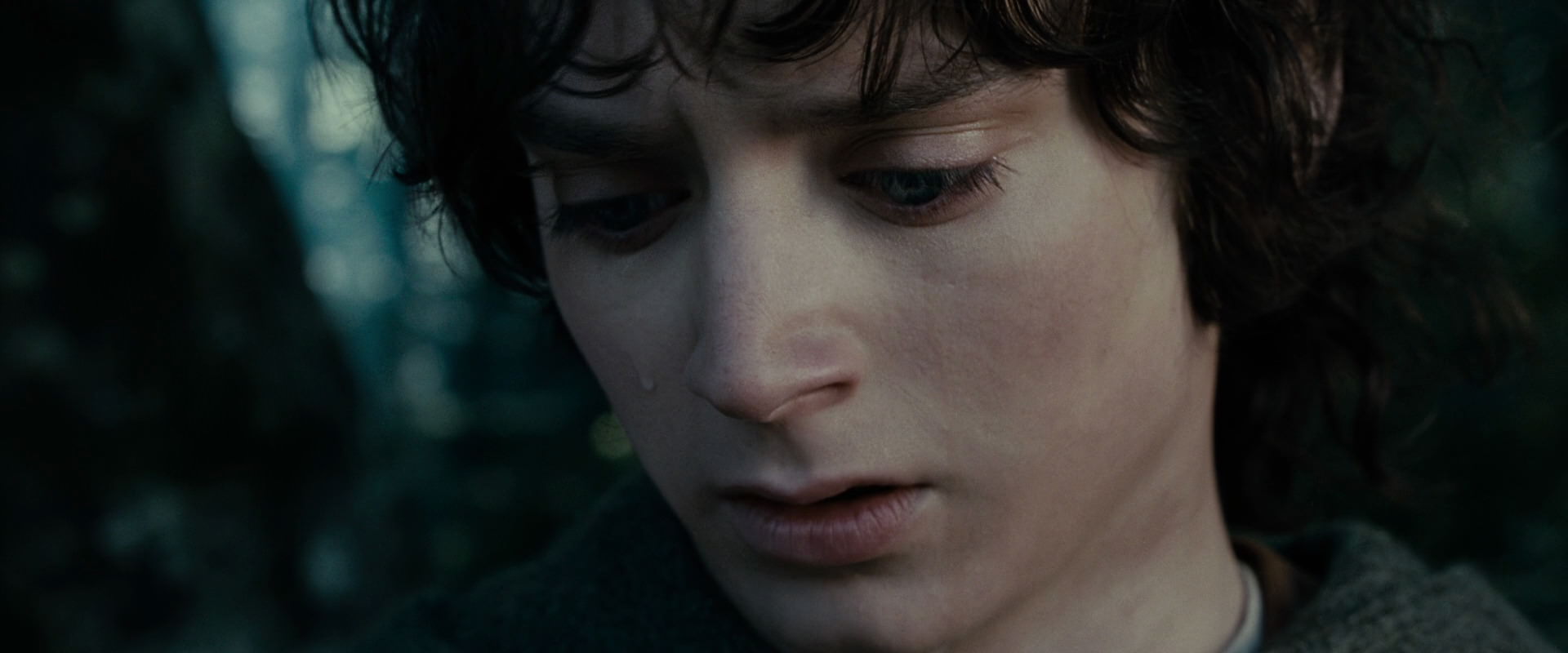 The Lord of the Rings: The Fellowship of the Ring (2001) screencap 23139