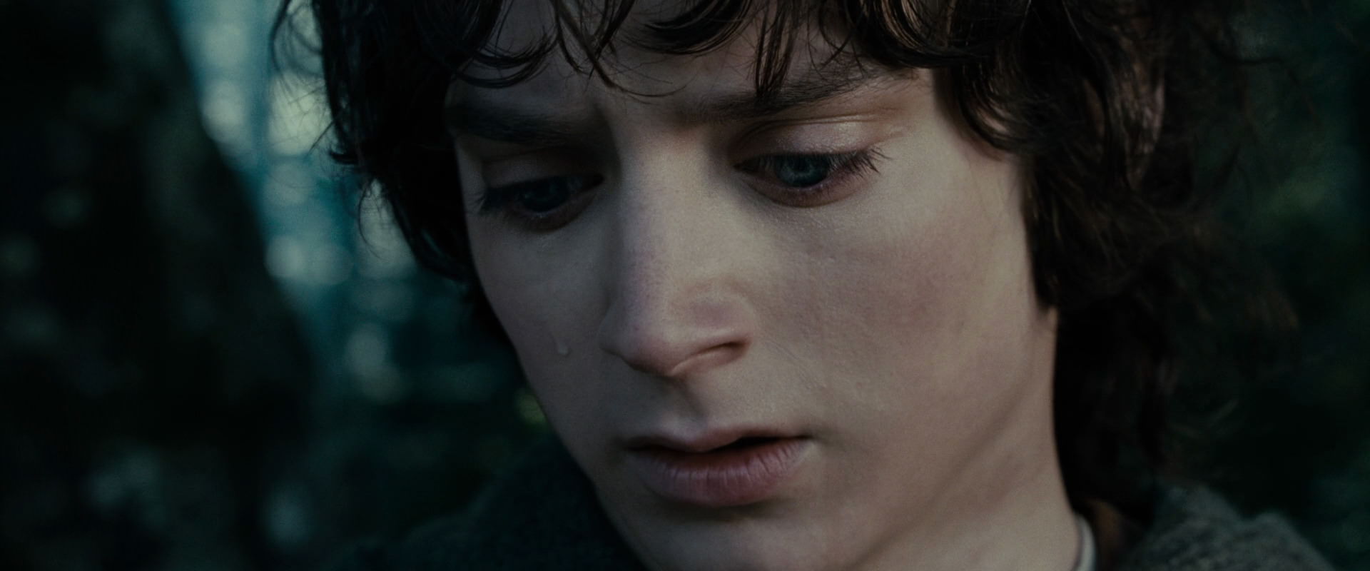 The Lord of the Rings: The Fellowship of the Ring (2001) movie still 23140