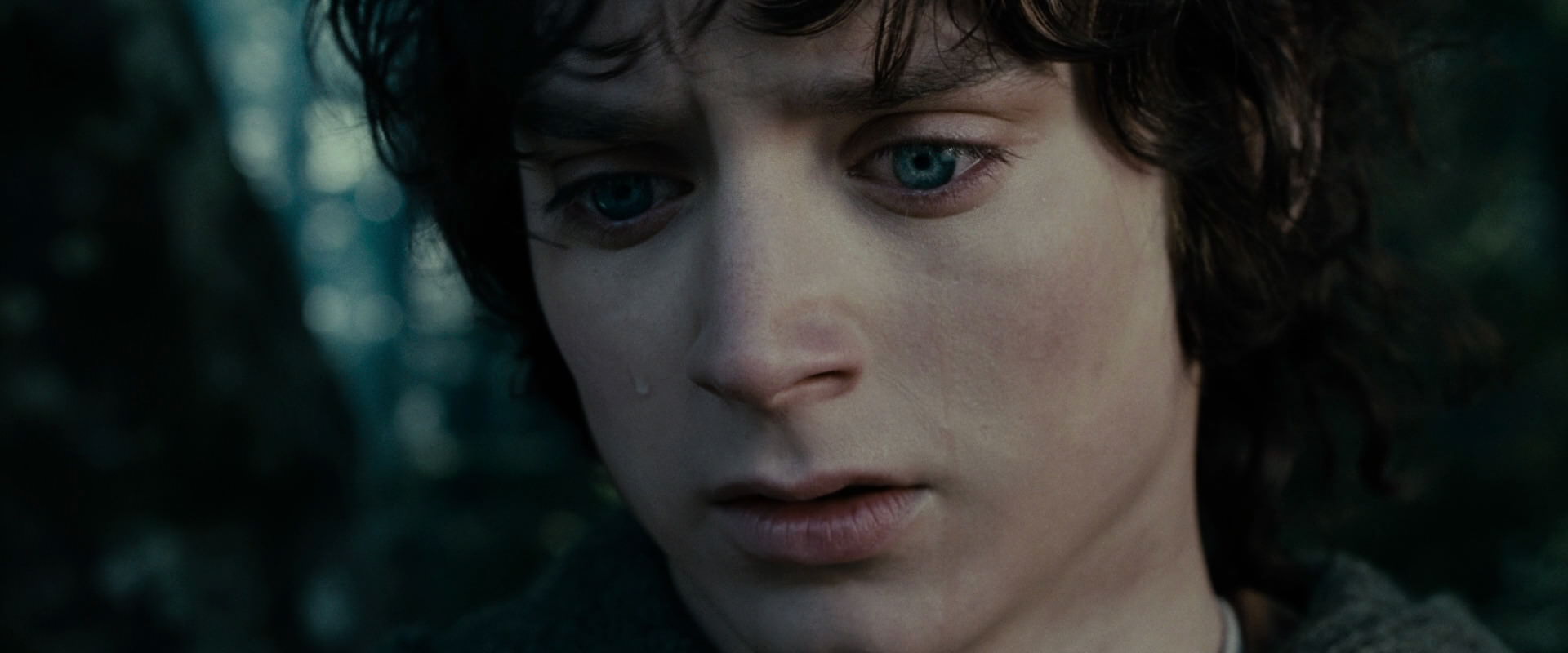 The Lord of the Rings: The Fellowship of the Ring (2001) HD screenshot 23141