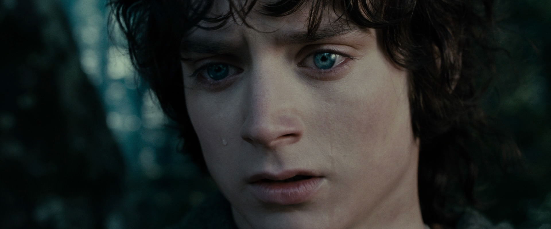 The Lord of the Rings: The Fellowship of the Ring (2001) screencap 23142