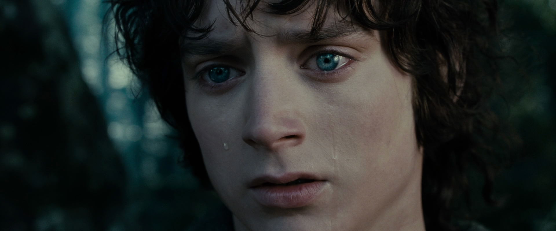 The Lord of the Rings: The Fellowship of the Ring (2001) movie still 23143