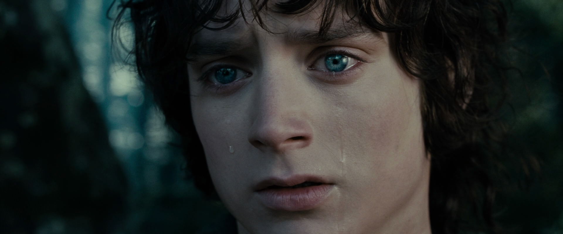 The Lord of the Rings: The Fellowship of the Ring (2001) HD screenshot 23144