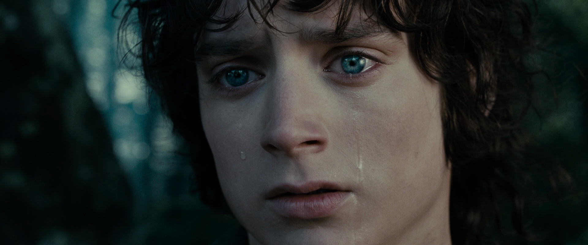 The Lord of the Rings: The Fellowship of the Ring (2001) screencap 23145