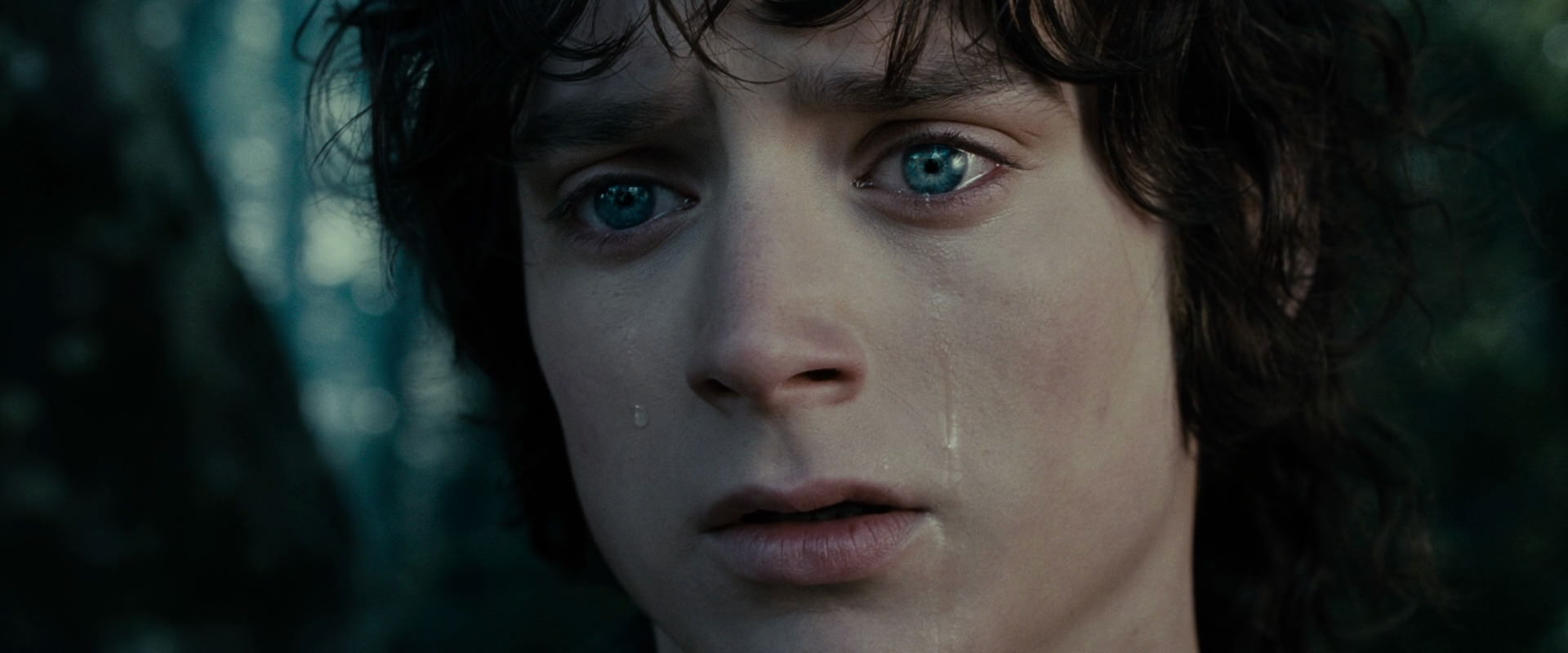 The Lord of the Rings: The Fellowship of the Ring (2001) movie still 23146
