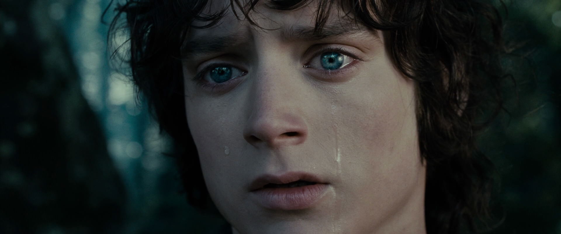 The Lord of the Rings: The Fellowship of the Ring (2001) HD screenshot 23147