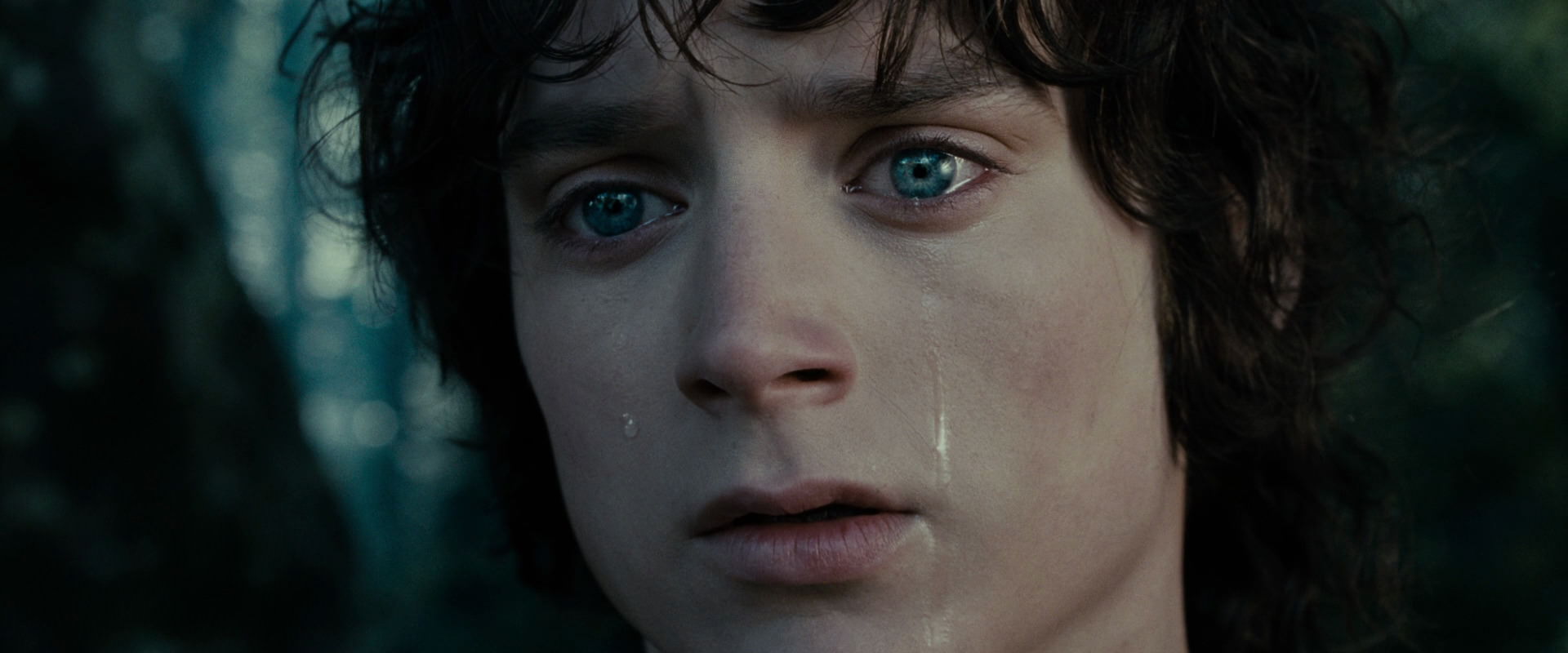 The Lord of the Rings: The Fellowship of the Ring (2001) screencap 23148
