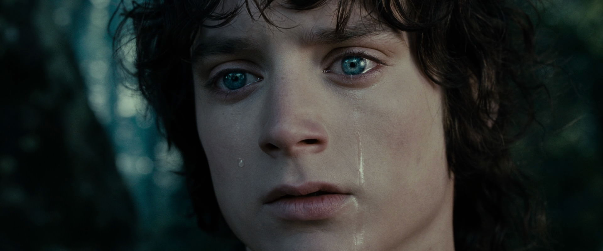 The Lord of the Rings: The Fellowship of the Ring (2001) movie still 23149