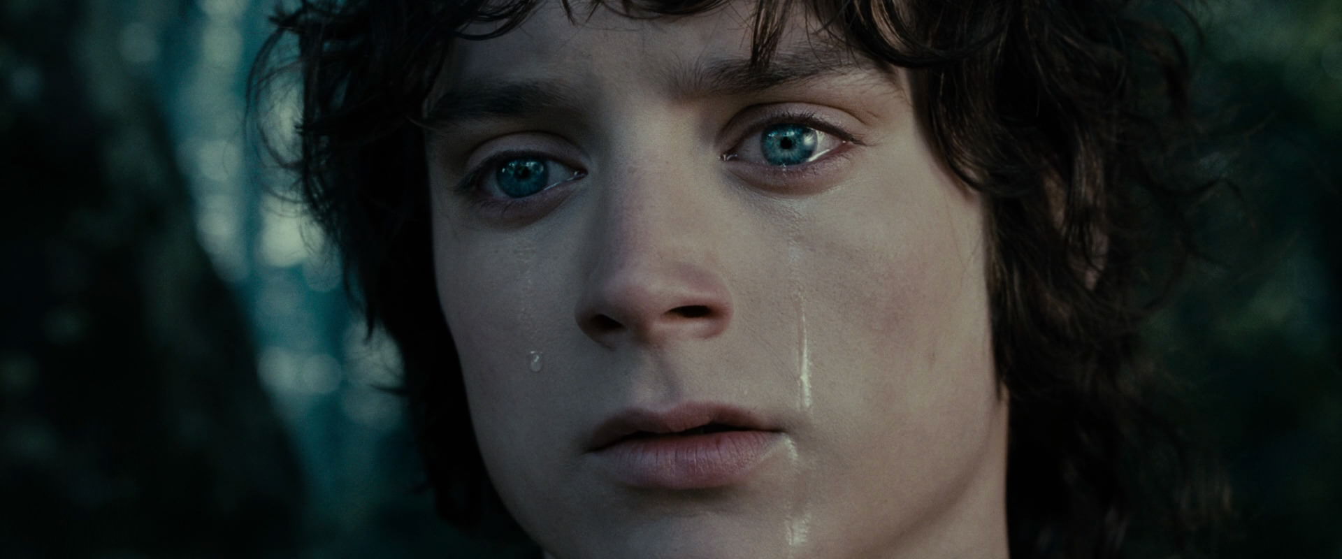 The Lord of the Rings: The Fellowship of the Ring (2001) HD screenshot 23150