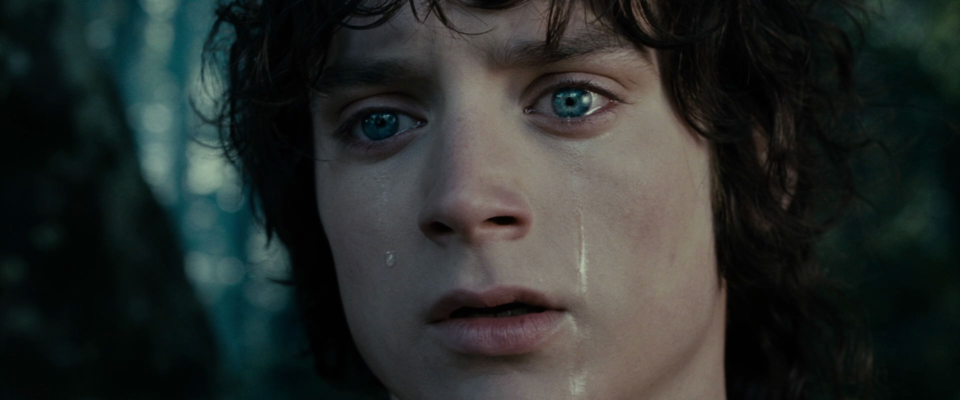 The Lord of the Rings: The Fellowship of the Ring (2001) screencap 23151