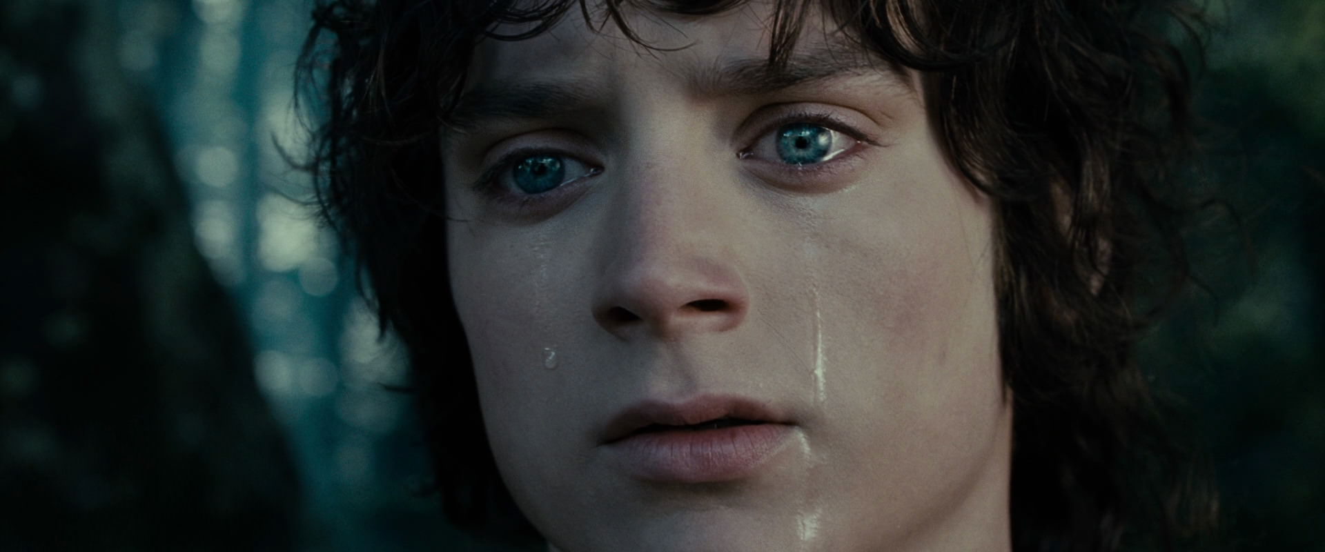 The Lord of the Rings: The Fellowship of the Ring (2001) movie still 23152
