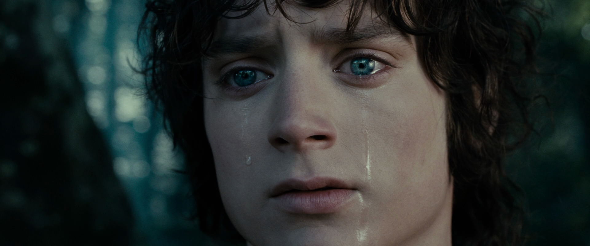 The Lord of the Rings: The Fellowship of the Ring (2001) HD screenshot 23153