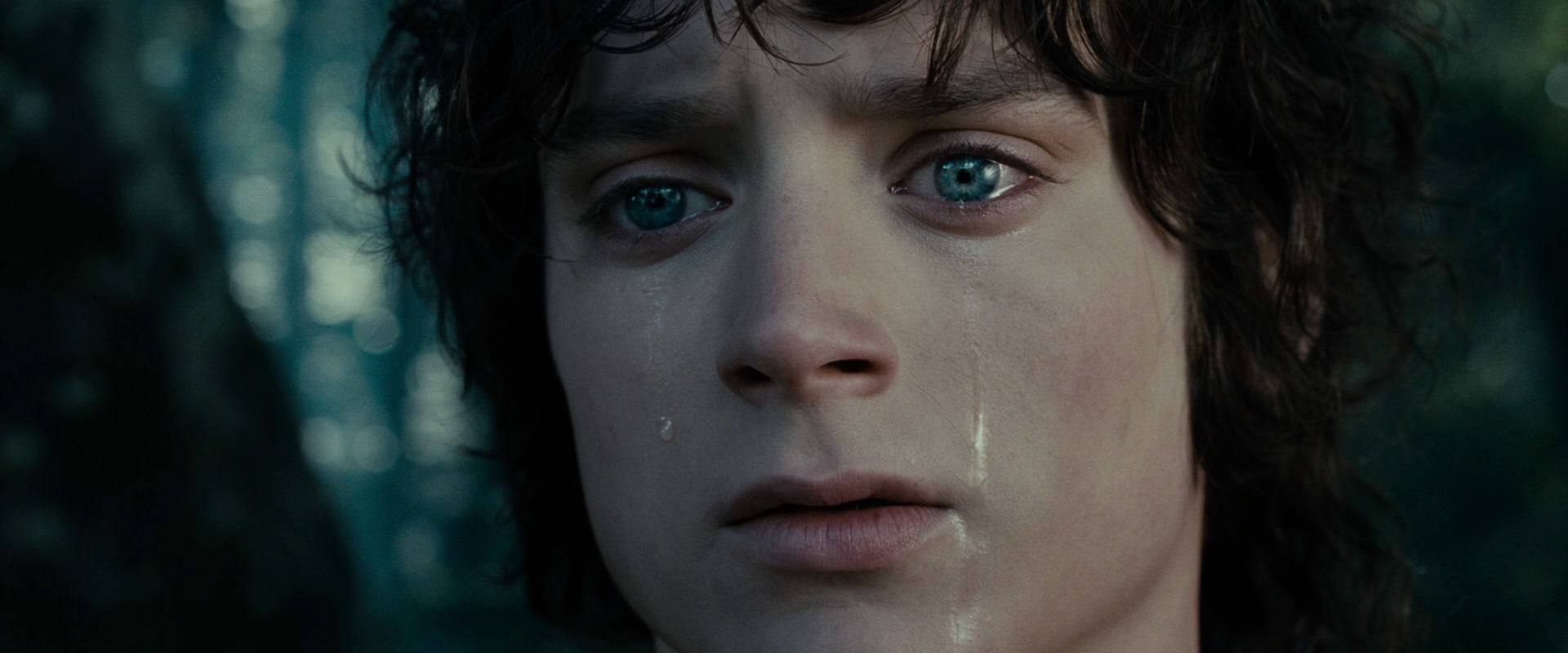 The Lord of the Rings: The Fellowship of the Ring (2001) screencap 23154