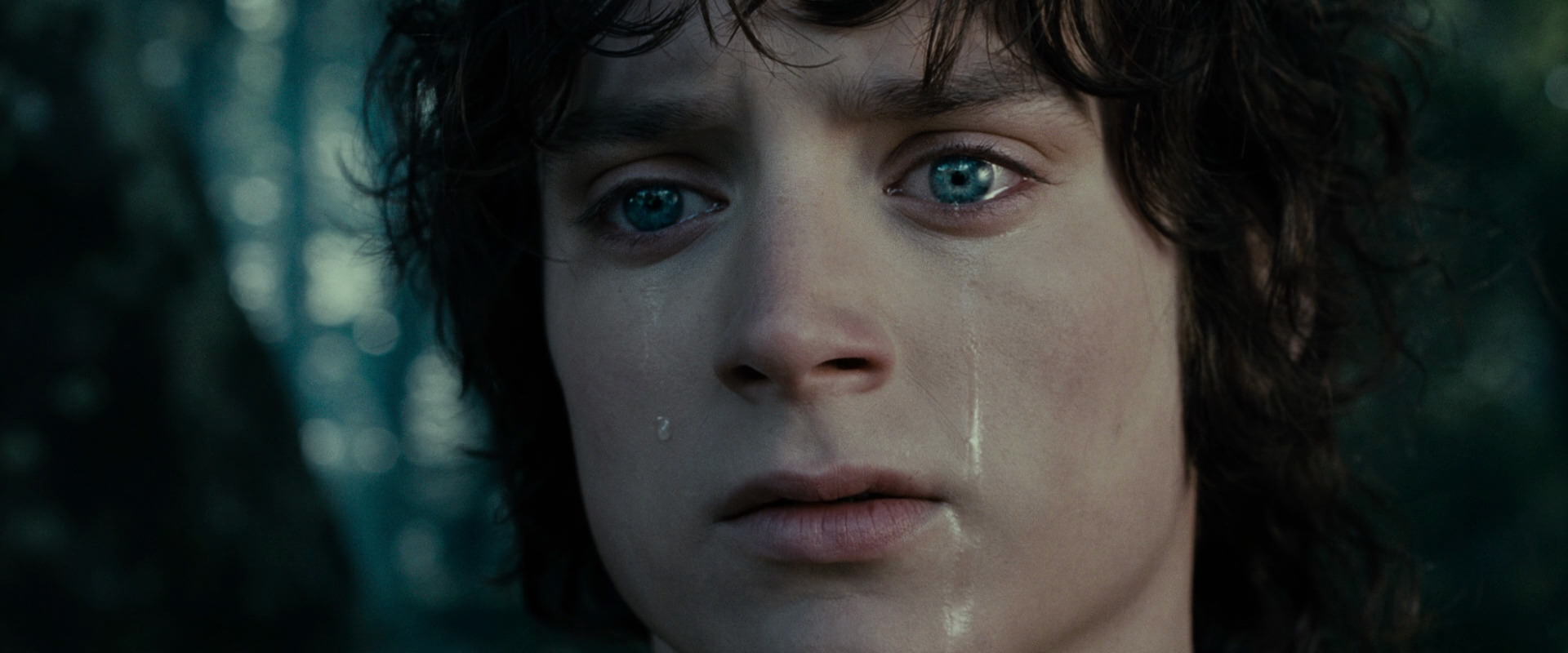 The Lord of the Rings: The Fellowship of the Ring (2001) movie still 23155
