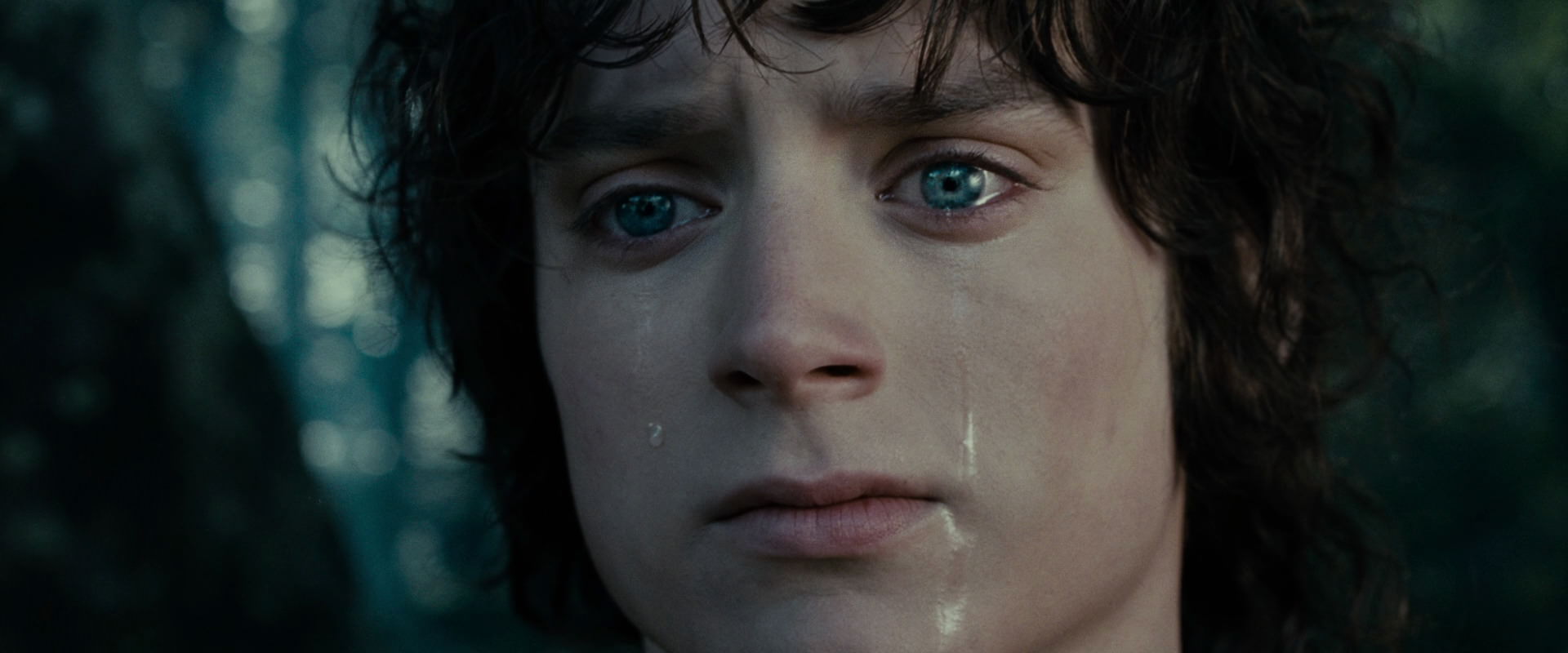 The Lord of the Rings: The Fellowship of the Ring (2001) HD screenshot 23156