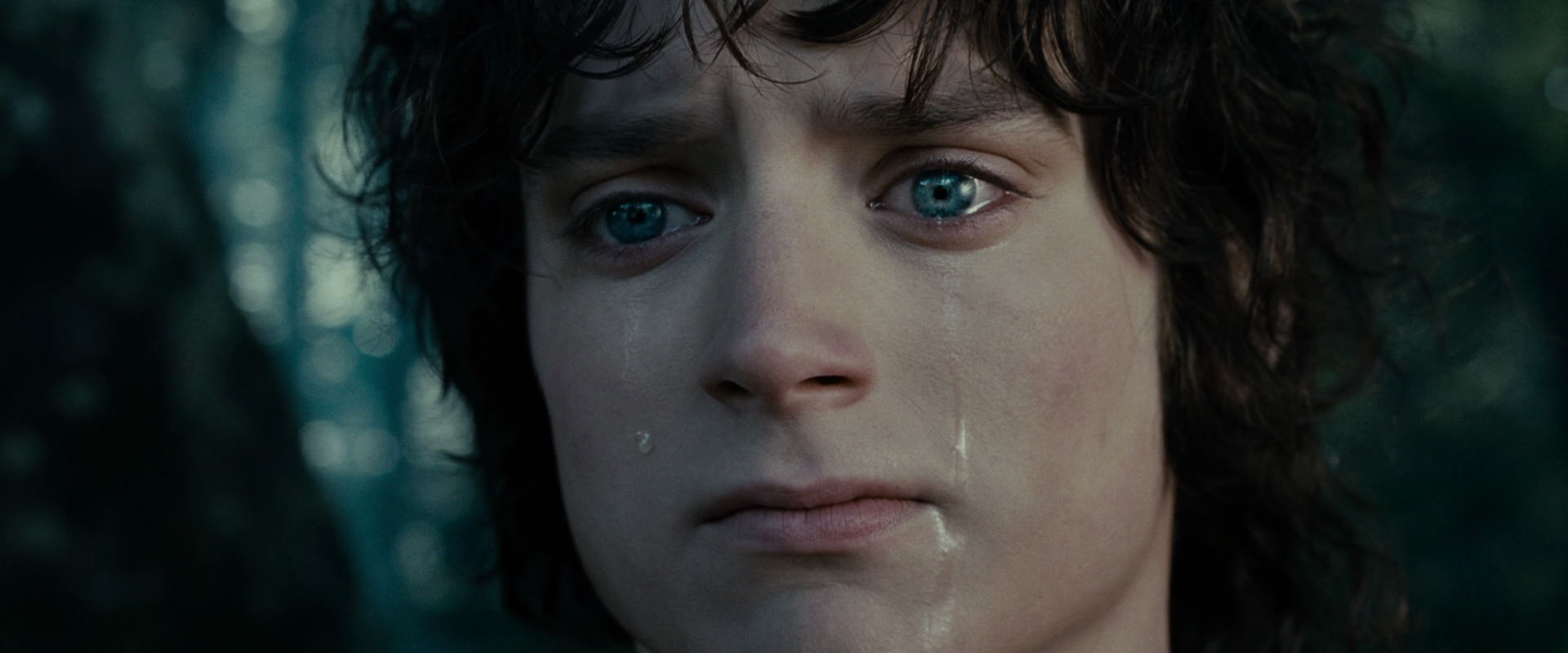 The Lord of the Rings: The Fellowship of the Ring (2001) screencap 23157