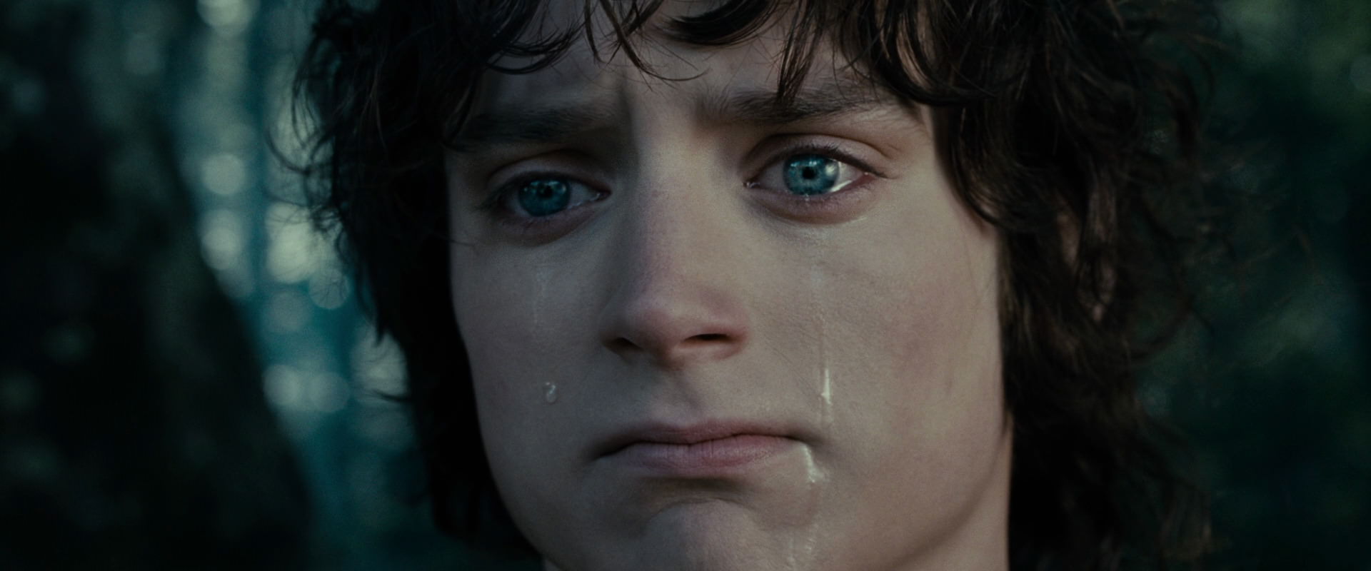 The Lord of the Rings: The Fellowship of the Ring (2001) HD screenshot 23159