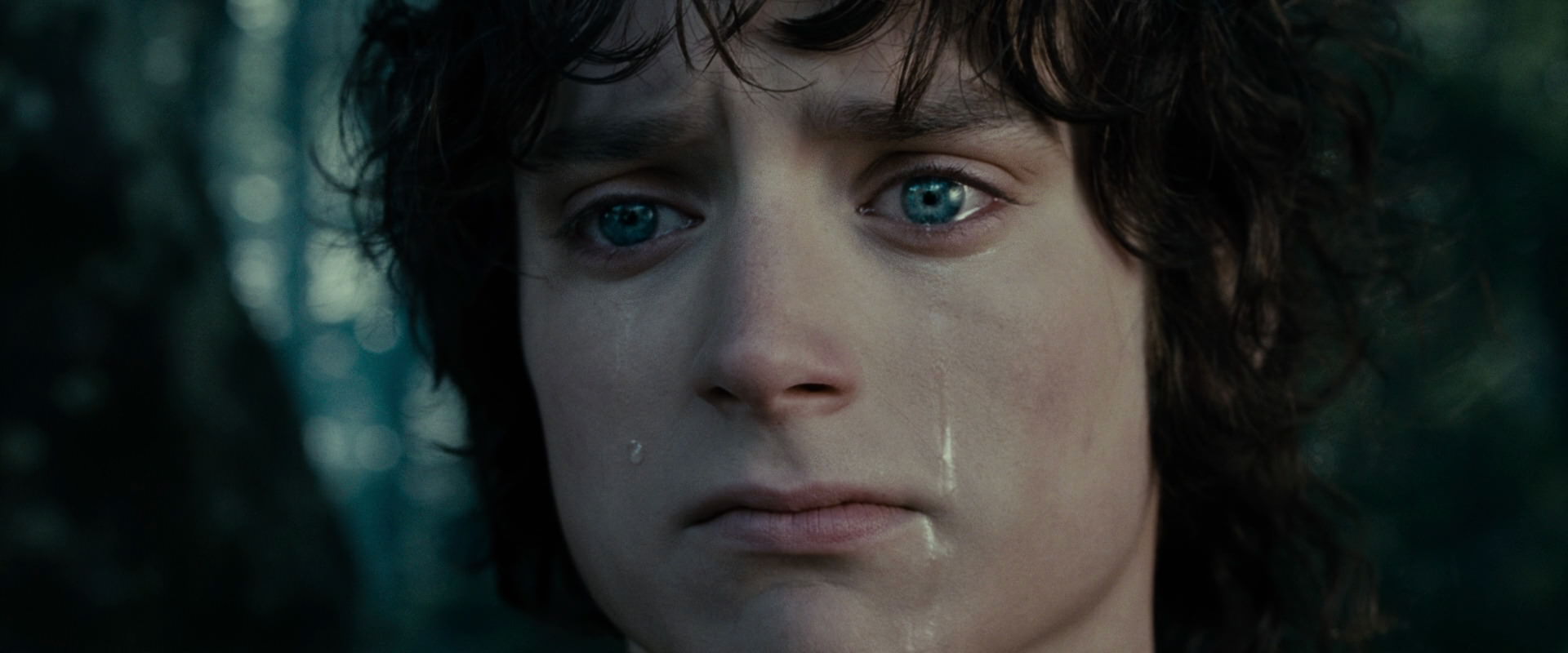 The Lord of the Rings: The Fellowship of the Ring (2001) screencap 23160