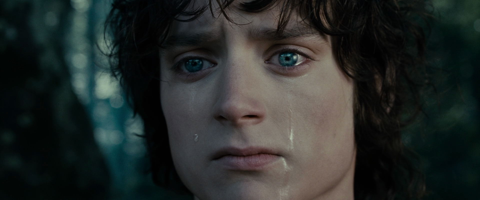 The Lord of the Rings: The Fellowship of the Ring (2001) HD screenshot 23162