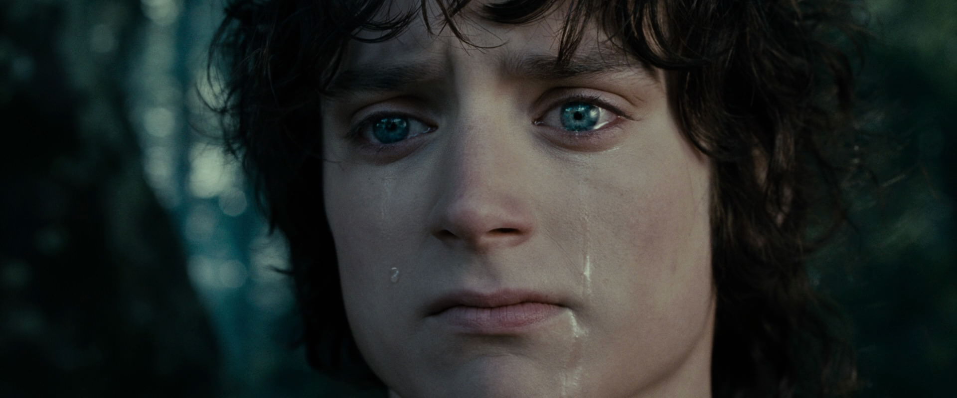 The Lord of the Rings: The Fellowship of the Ring (2001) screencap 23163