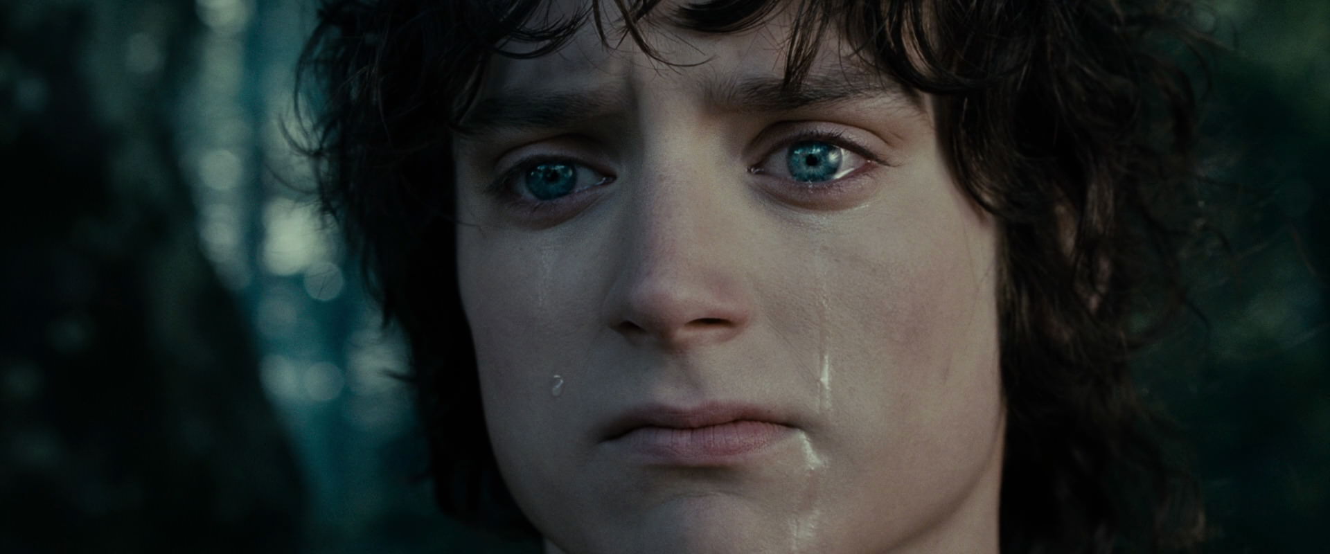 The Lord of the Rings: The Fellowship of the Ring (2001) movie still 23164