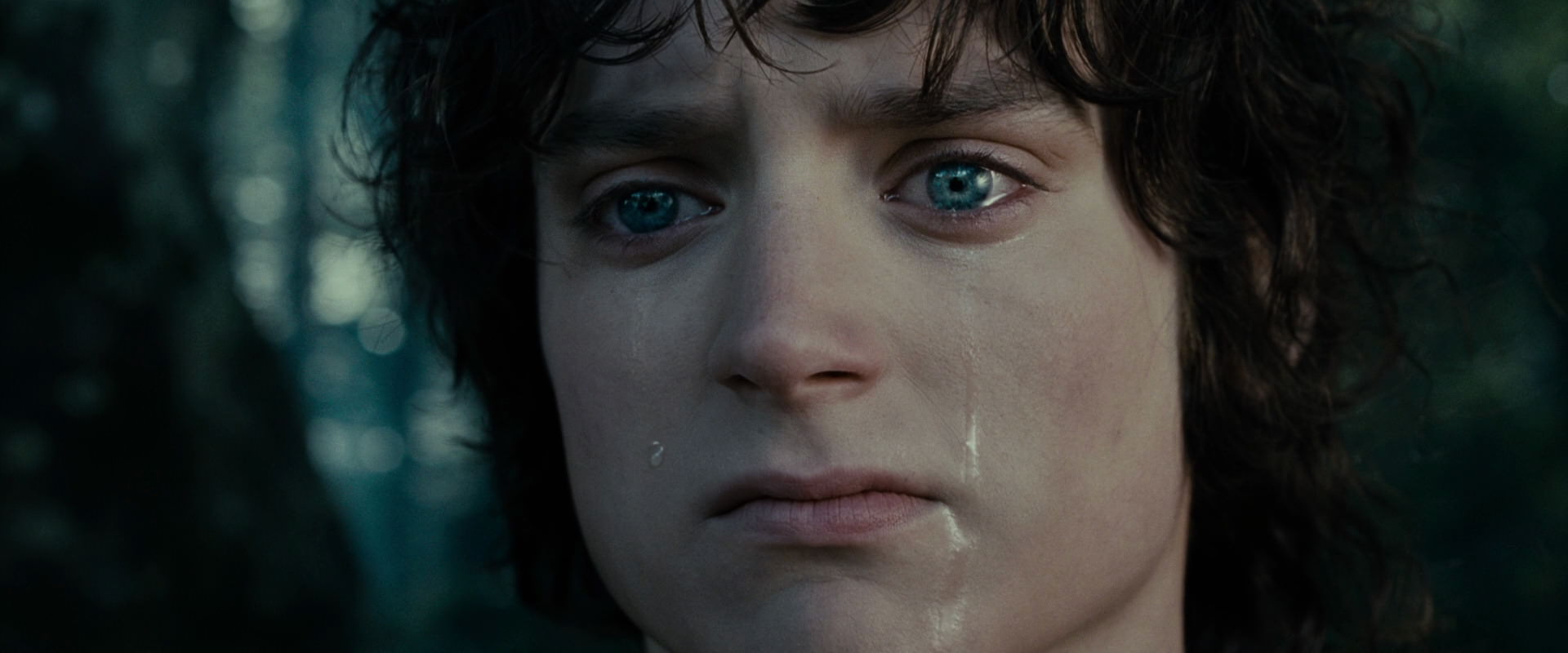 The Lord of the Rings: The Fellowship of the Ring (2001) HD screenshot 23165