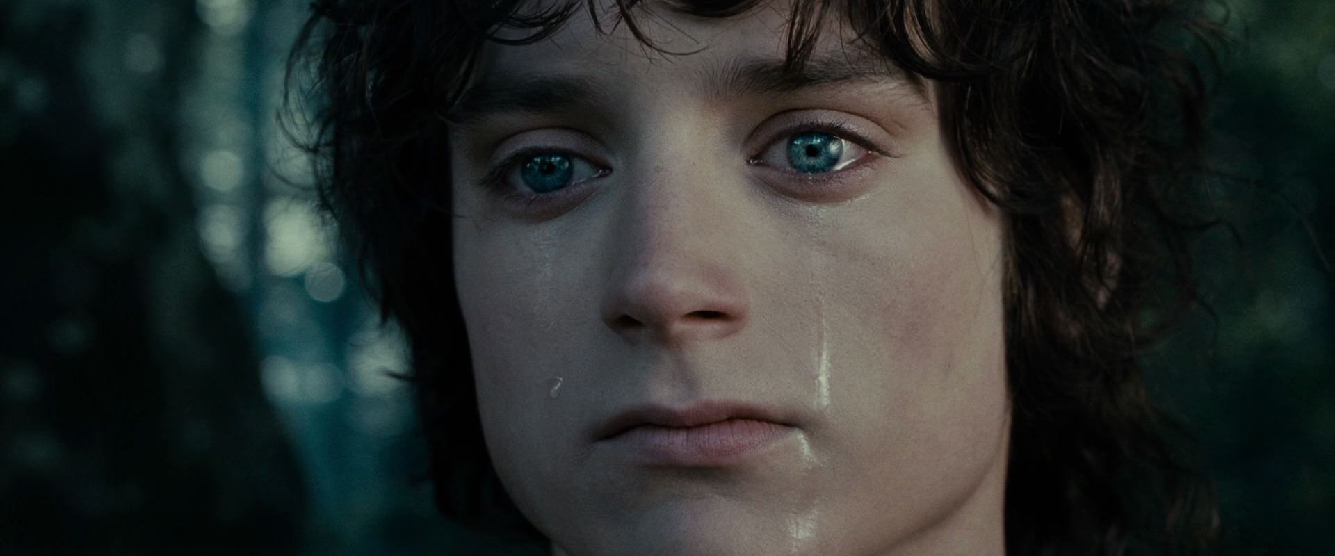 The Lord of the Rings: The Fellowship of the Ring (2001) screencap 23166