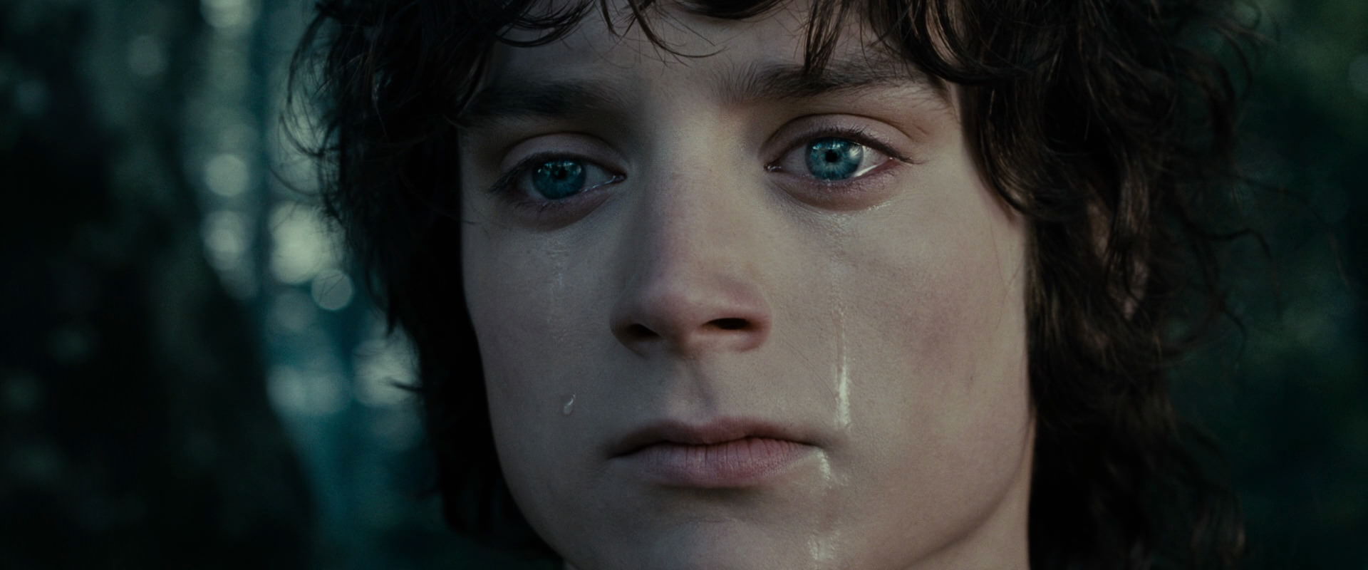 The Lord of the Rings: The Fellowship of the Ring (2001) movie still 23167