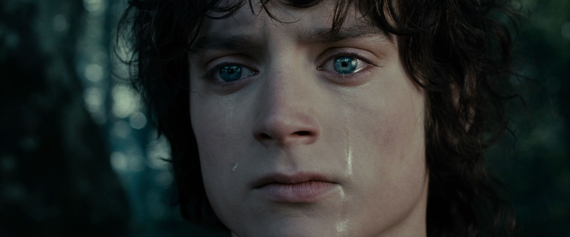 The Lord of the Rings: The Fellowship of the Ring (2001) HD screenshot 23168