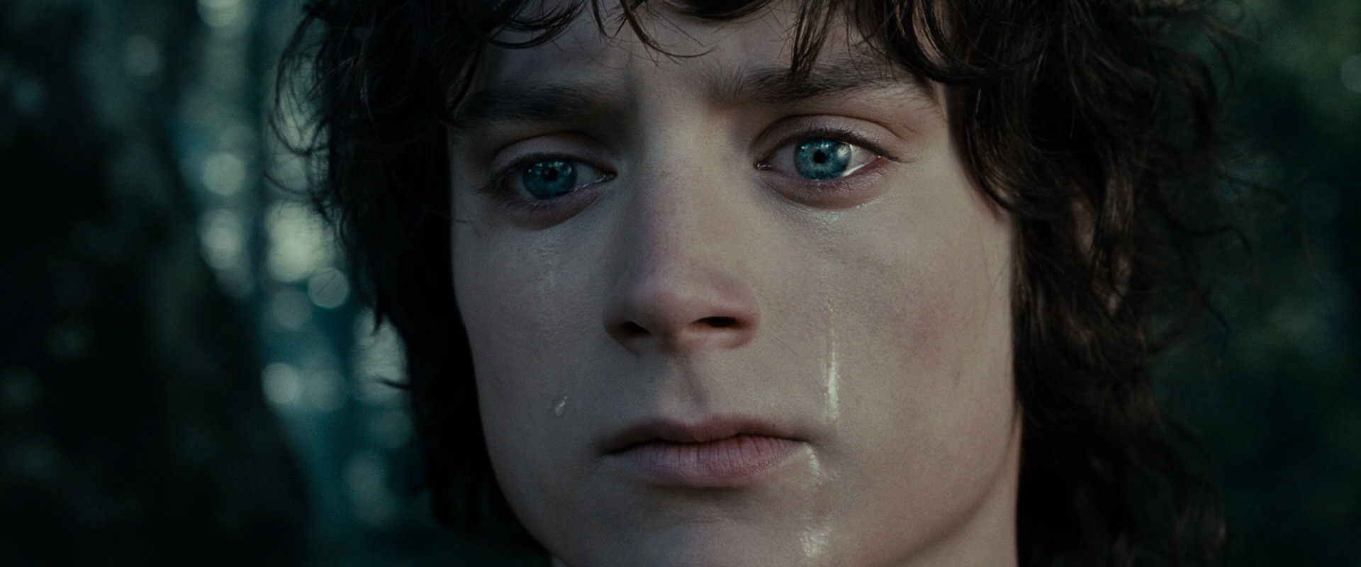 The Lord of the Rings: The Fellowship of the Ring (2001) screencap 23169