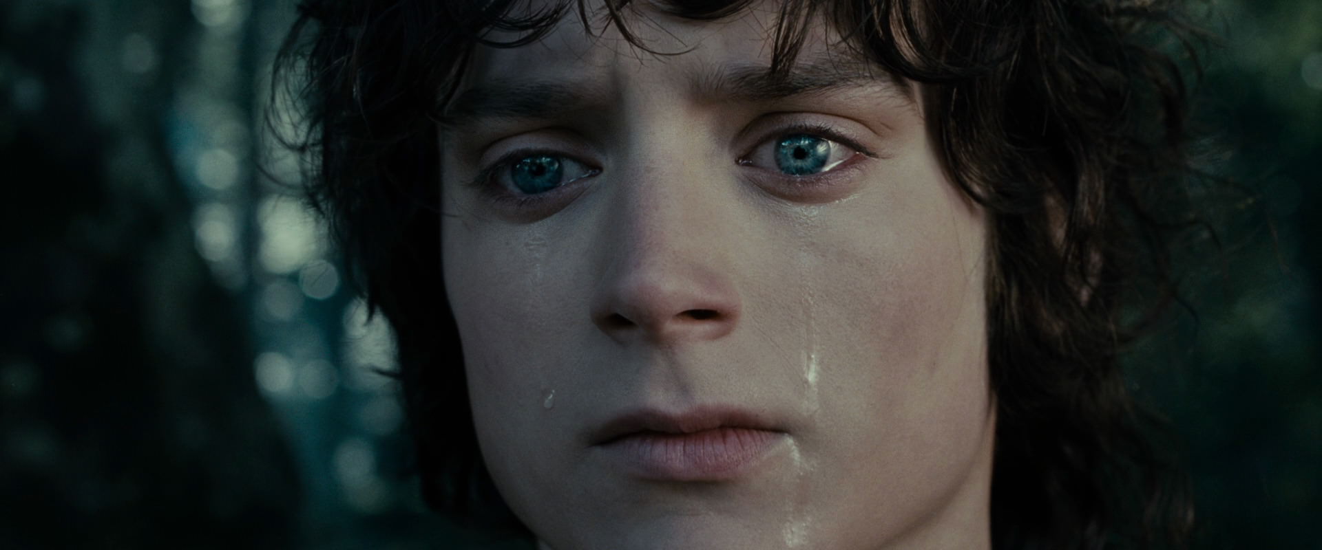 The Lord of the Rings: The Fellowship of the Ring (2001) movie still 23170