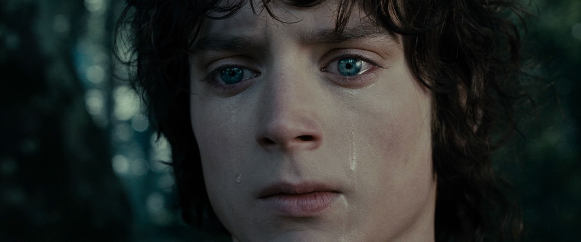 The Lord of the Rings: The Fellowship of the Ring (2001) HD screenshot 23171