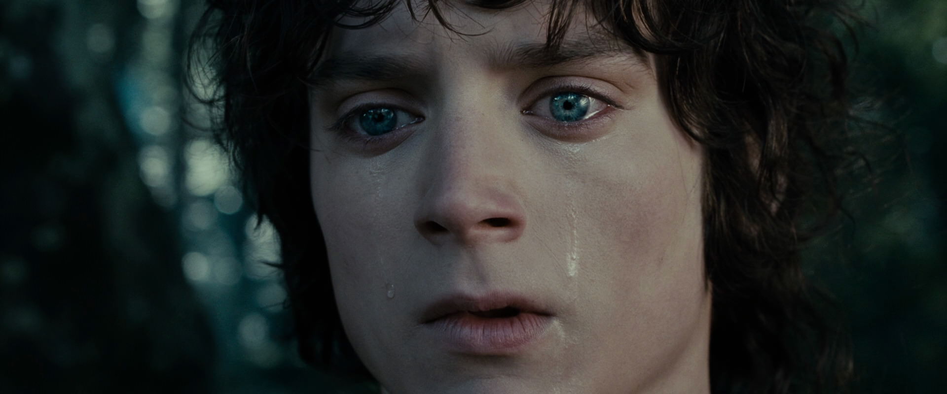 The Lord of the Rings: The Fellowship of the Ring (2001) screencap 23172