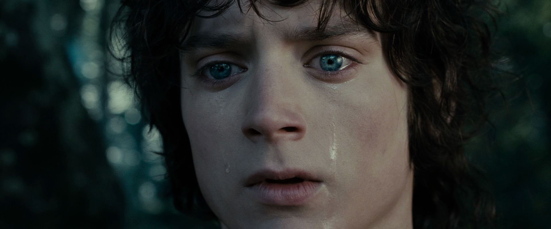 The Lord of the Rings: The Fellowship of the Ring (2001) movie still 23173
