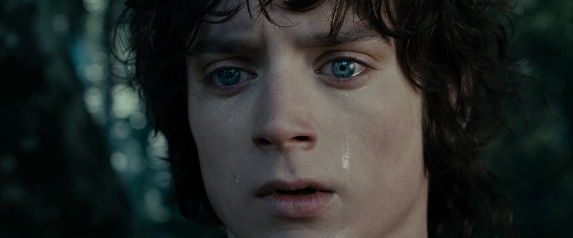 The Lord of the Rings: The Fellowship of the Ring (2001) HD screenshot 23174