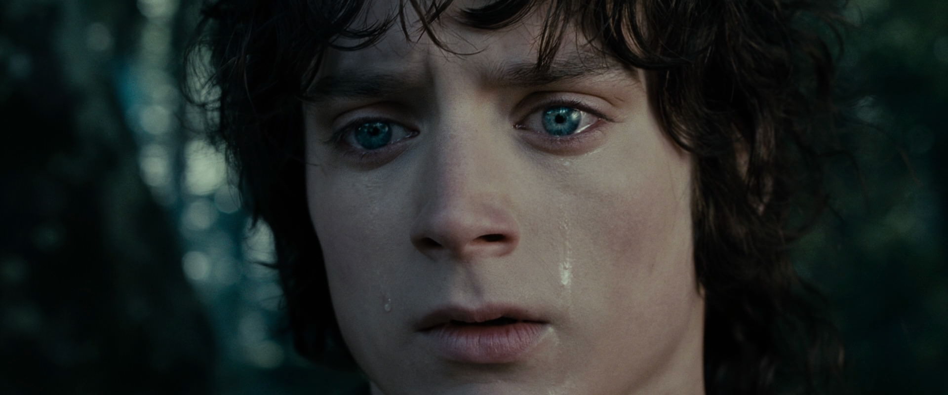 The Lord of the Rings: The Fellowship of the Ring (2001) screencap 23175