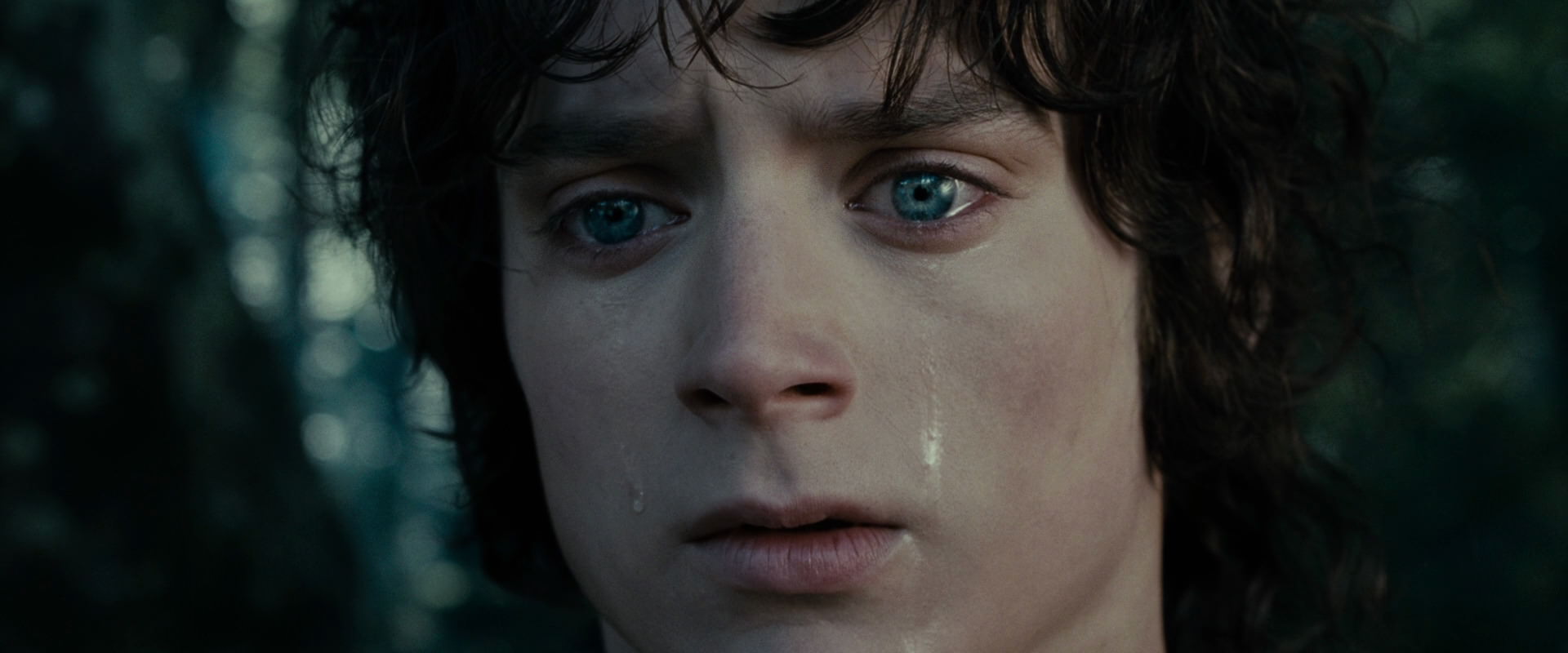 The Lord of the Rings: The Fellowship of the Ring (2001) movie still 23176