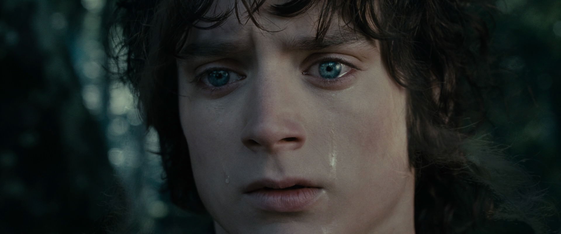The Lord of the Rings: The Fellowship of the Ring (2001) HD screenshot 23177