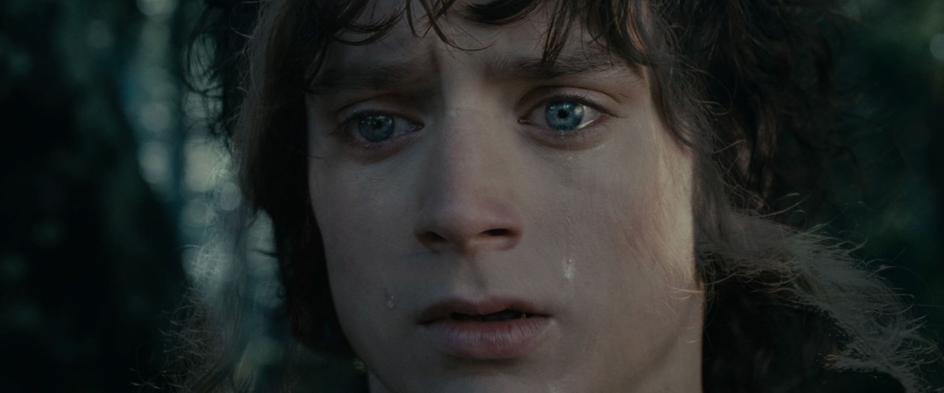 The Lord of the Rings: The Fellowship of the Ring (2001) screencap 23178
