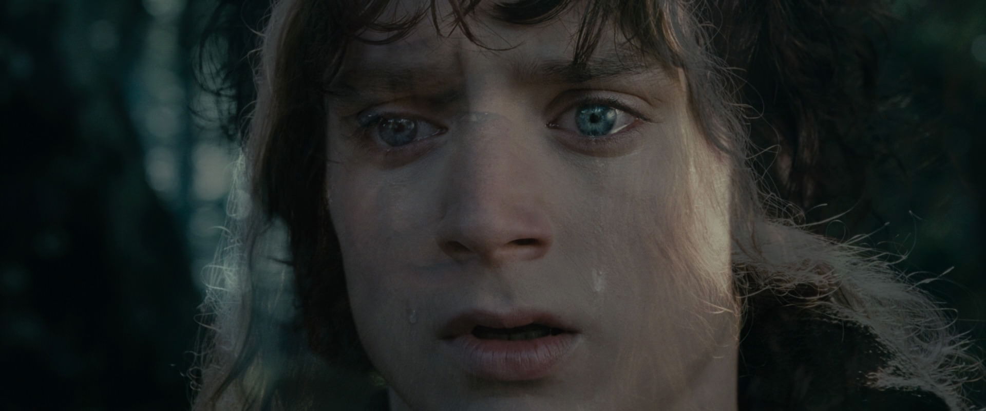 The Lord of the Rings: The Fellowship of the Ring (2001) movie still 23179