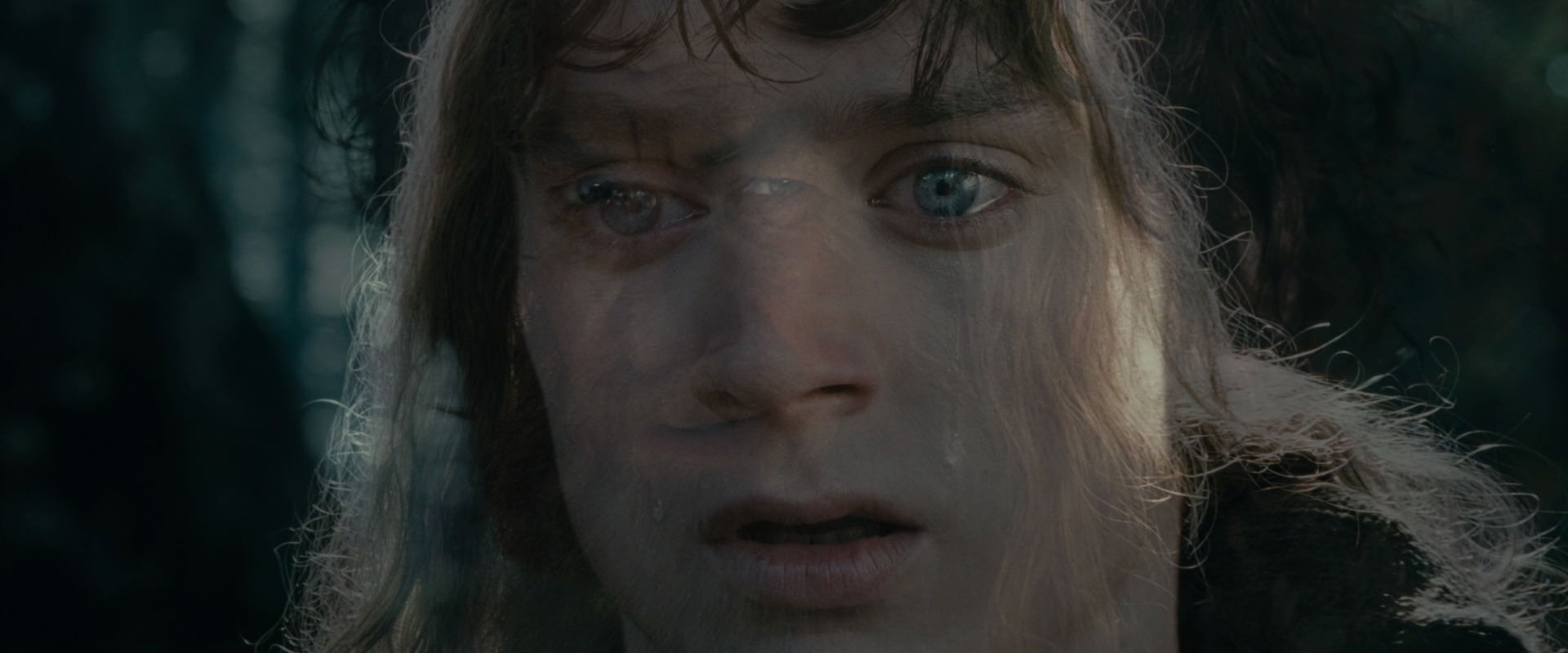 The Lord of the Rings: The Fellowship of the Ring (2001) HD screenshot 23180