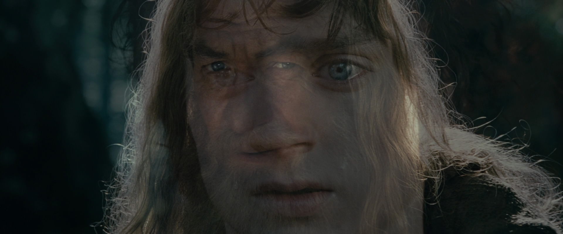 The Lord of the Rings: The Fellowship of the Ring (2001) screencap 23181
